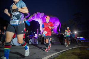 BIB: 
                            <button type="button" onclick="openModal(26551763)" class="btn btn-primary btn-sm float-right btn-popup" data-toggle="modal" data-target=".modal-high-quality">
                        <i class="fas fa-shopping-cart"></i> Add to Cart
                    </button>
                                            <button type="button" onclick="isThisMe(26551763, true)" class="btn btn-success btn-sm float-right btn-popup btn-isme hidden" data-toggle="tooltip" data-placement="bottom" title="นี่คือรูปของคุณใช่ไหม คลิกที่นี่เพื่อเอาเข้าอัลบั้ม">
                        <i class="fas fa-plus"></i> Add to album
                    </button>
                    <button type="button" onclick="isThisMe(26551763, false)" class="btn btn-warning btn-sm float-right btn-popup btn-isnotme hidden">
                        <i class="fas fa-ban"></i> Remove from album
                    </button>